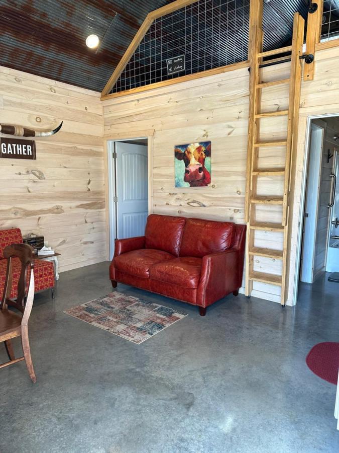 Knotty Squirrel Cabins Mountain View Extérieur photo